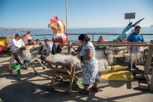 La caleta y su gente